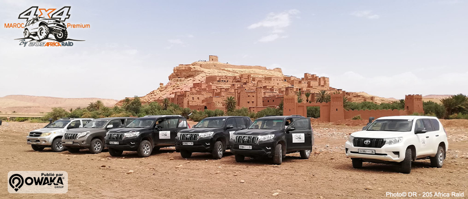 Plateaux rocheux et regs