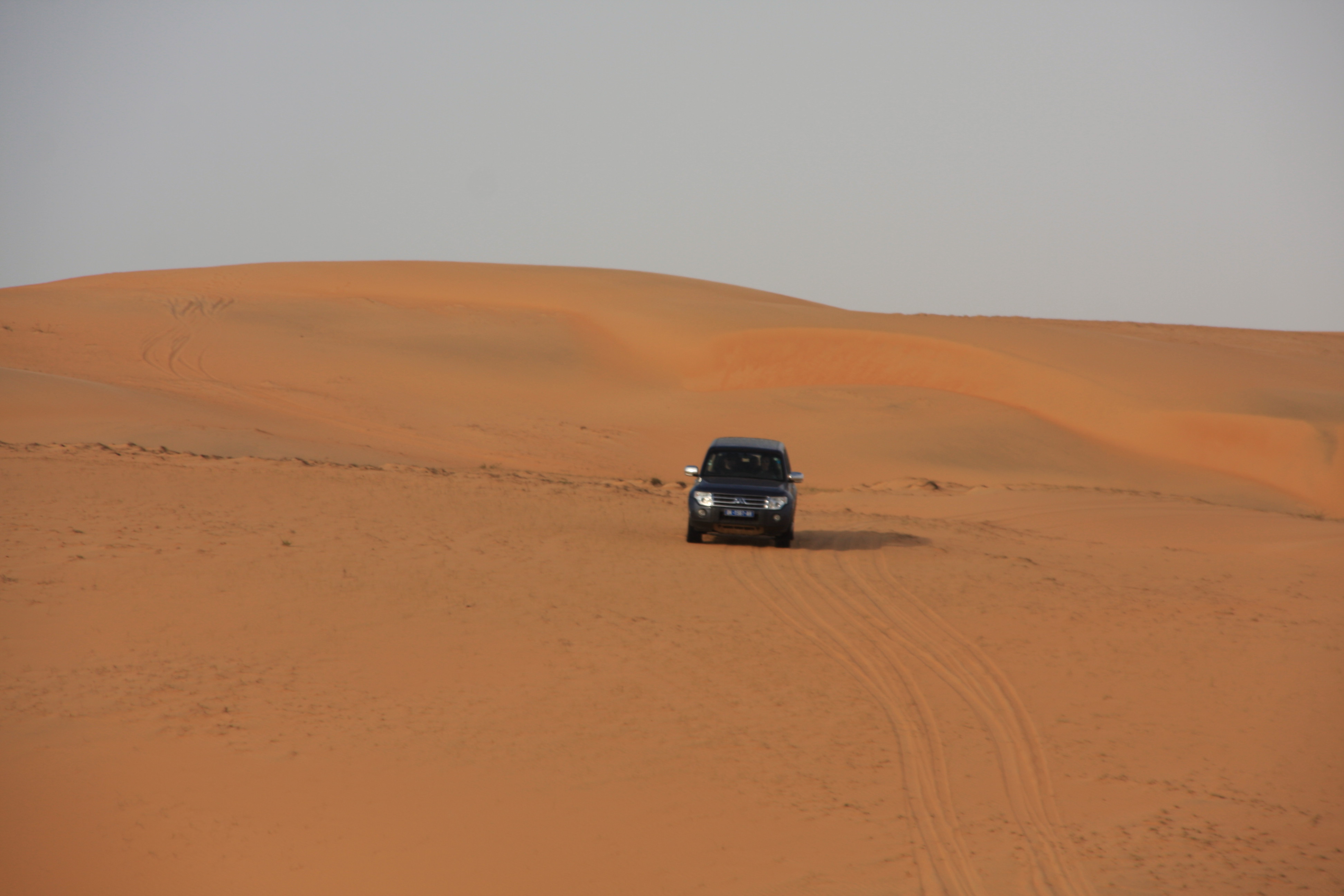 Parc du Djoudj - Oiseaux migrateurs