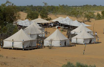 Delta du Saloum - Mangroves