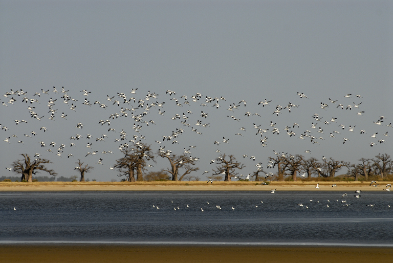 Dakar & Lac Rose - Fin de séjour